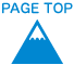 PAGE TOP